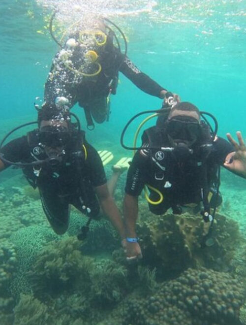 Full Day Wasini Island Tour with Snorkeling and Lunch